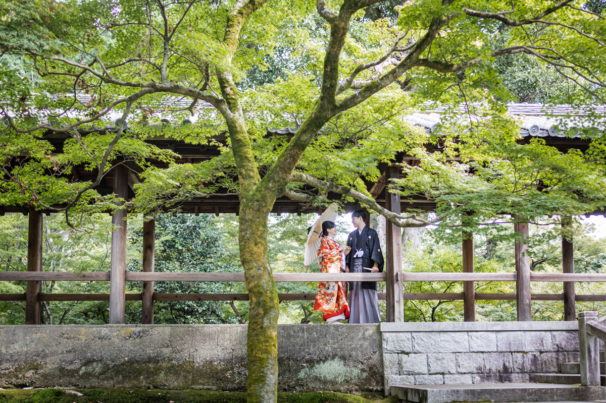 東福寺前撮り「新緑の通天橋を2人で貸切」