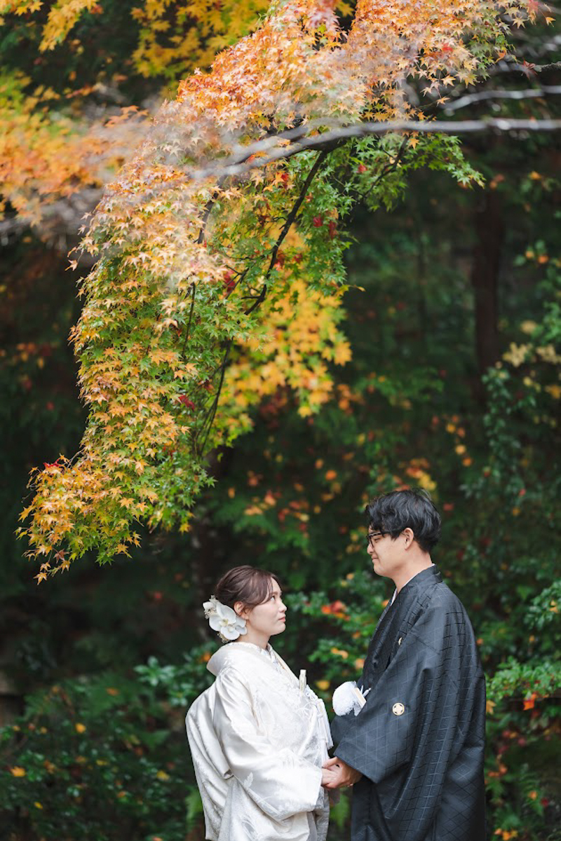 萬福寺前撮り「色づき始めた紅葉の下、手を取り合う二人」