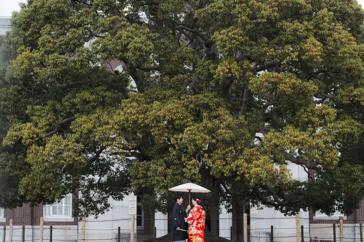 京都大学の大きな楠の前で向かい合う新郎新婦