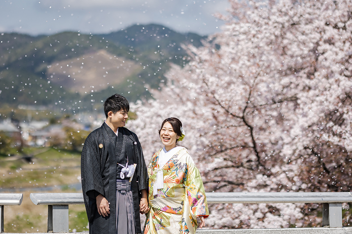 鴨川の前撮り・フォトウェディング「晴天の桜吹雪」