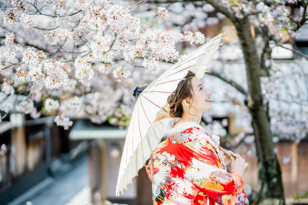 関西の和装前撮りは東山八坂の桜がきれい