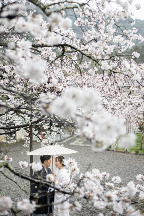 桜が満開の毘沙門堂で白無垢を着て京都和装前撮り・フォトウェディング