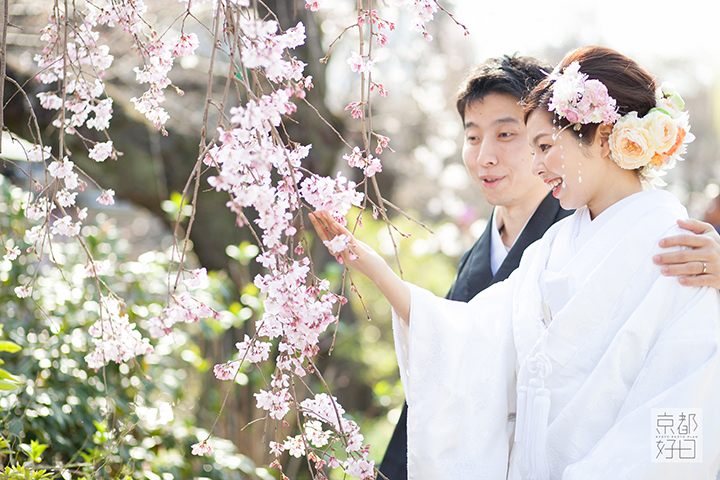 2014　桜　祇園