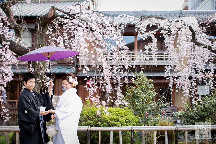 2014　桜　祇園