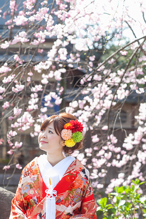 桜　祇園　前撮り