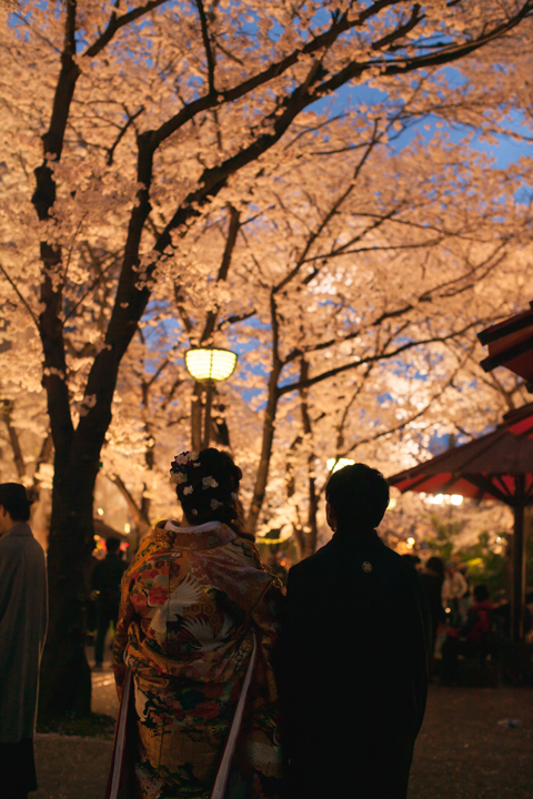 前撮り　京都　夜桜
