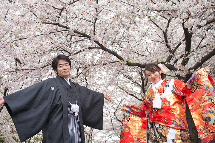 前撮り　祇園　桜