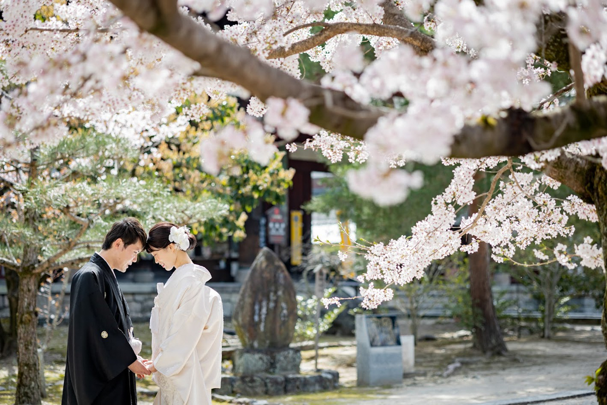 萬福寺前撮り「満開の桜のもと、額を寄せ合う二人」