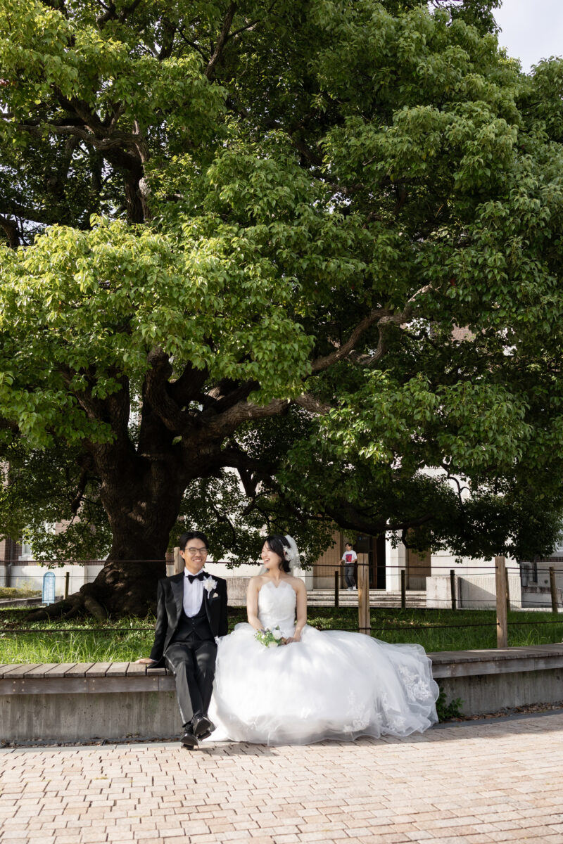 京都大学の大きな楠の前のベンチに座る新郎新婦