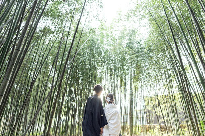 京都和装前撮り・フォトウェディングは竹林がある大覚寺が人気