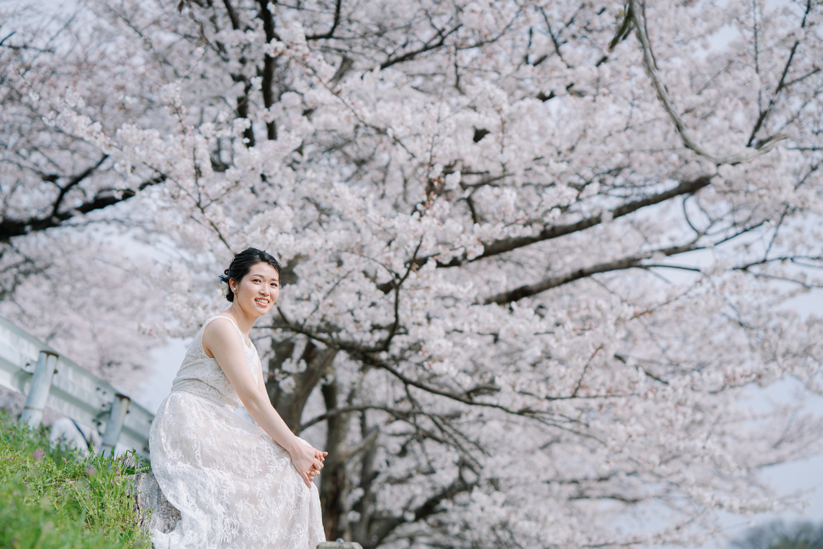鴨川の前撮り・フォトウェディング「満開の桜の木の下でウェディングドレス」