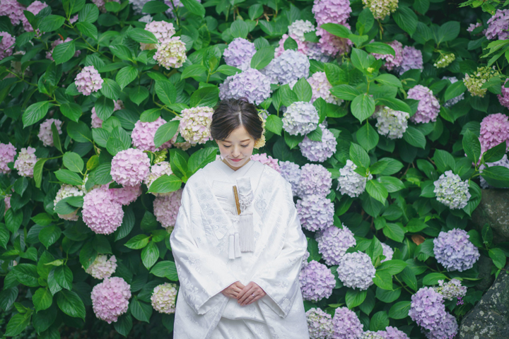 京都梅宮大社のあじさいの前撮りは白無垢がかわいい