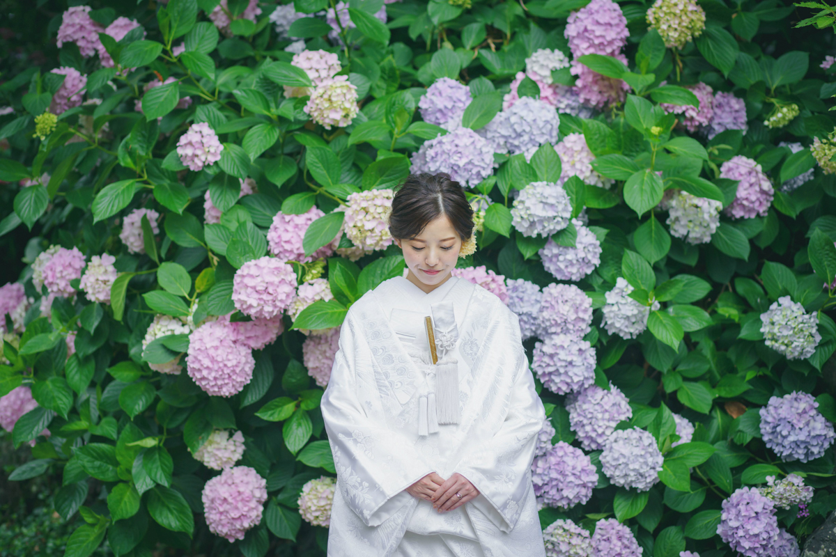 京都前撮りは安いロケーションの梅宮大社のあじさいが人気