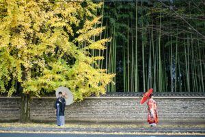 和装の前撮りは関西の竹林と銀杏がきれい