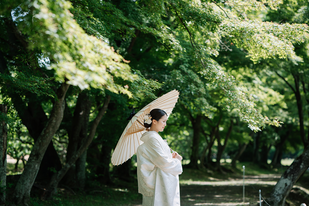 五月に一番お世話になった大覚寺さん「緑と白のコントラスト」
