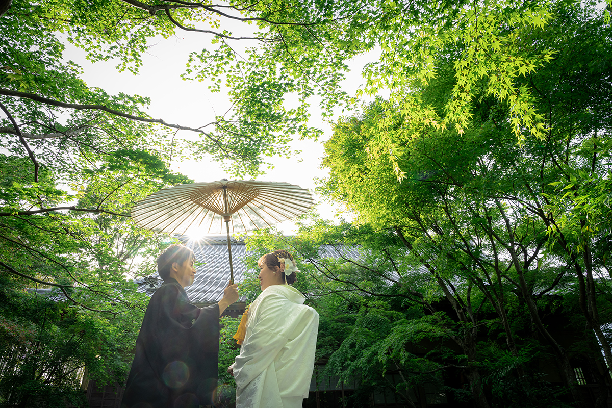 京都の圓光寺で白の和傘を使った前撮り