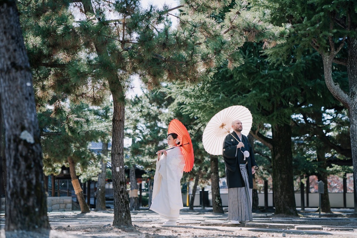 萬福寺前撮り「青々とした松に映える紅白の和傘と白無垢」