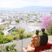 圓光寺の新緑写真