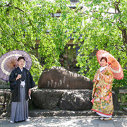 祇園の新緑写真