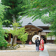 正寿院前撮りの新緑の境内