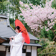 正寿院前撮りの桜