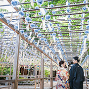 正寿院前撮りで境内一面の風鈴