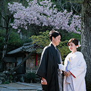 正寿院前撮りの桜