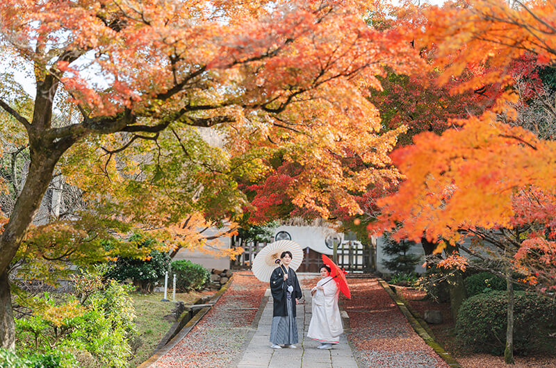 京都の和装前撮りやフォトウェディングは紅葉の名所・養源院が人気