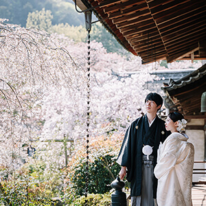 桜シーズンの毘沙門堂