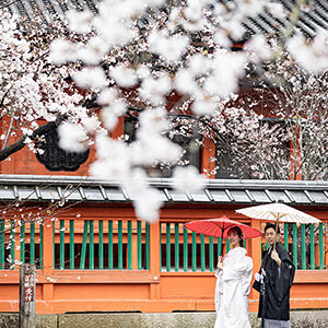 桜シーズンの毘沙門堂