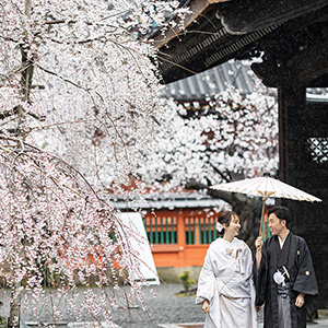 桜シーズンの毘沙門堂