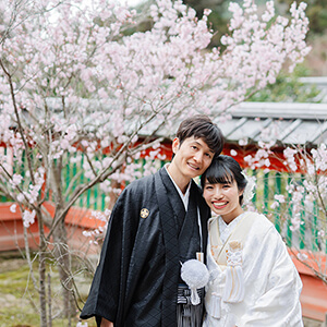 桜シーズンの毘沙門堂