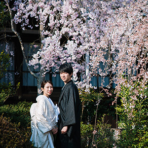 桜シーズンの毘沙門堂