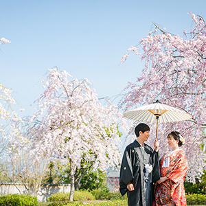 桜シーズンの圓光寺
