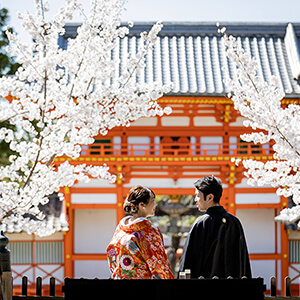 桜シーズンの新日吉神宮