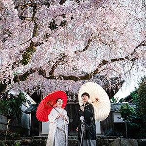 桜シーズンの萬福寺