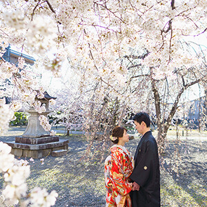 桜シーズンの立本寺