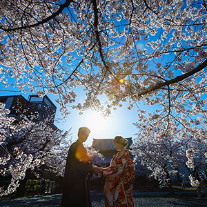 桜シーズンの立本寺