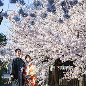桜シーズンの立本寺