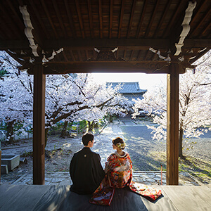 桜シーズンの立本寺