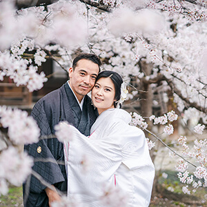 桜シーズンの立本寺