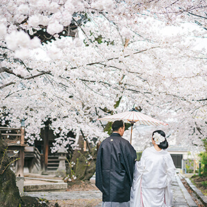 桜シーズンの立本寺